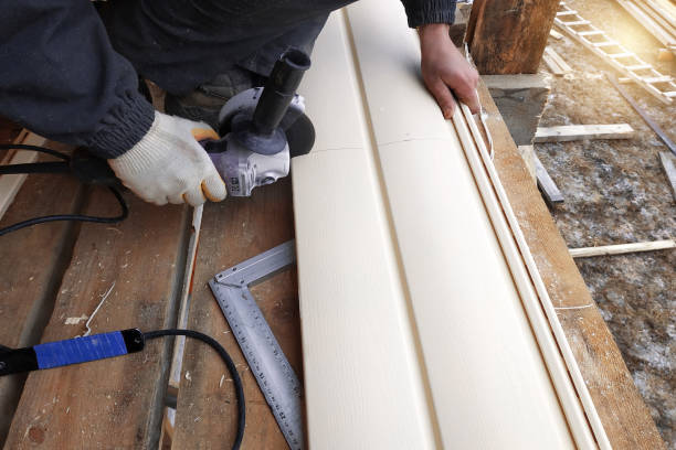 Best Custom Trim and Detailing for Siding  in Senoia, GA
