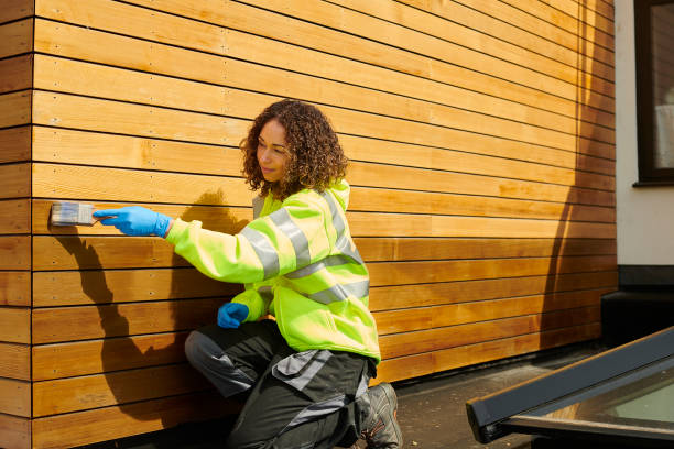 Best Vinyl Siding Installation  in Senoia, GA