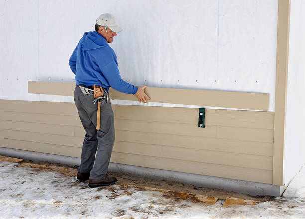 Best Siding Painting and Refinishing  in Senoia, GA
