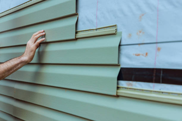 Best Steel Siding Installation  in Senoia, GA